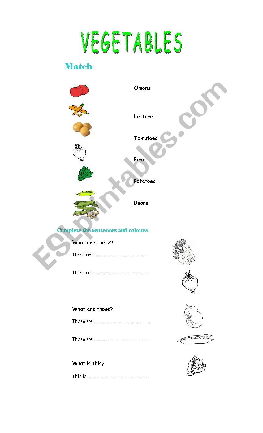 vegetables worksheet