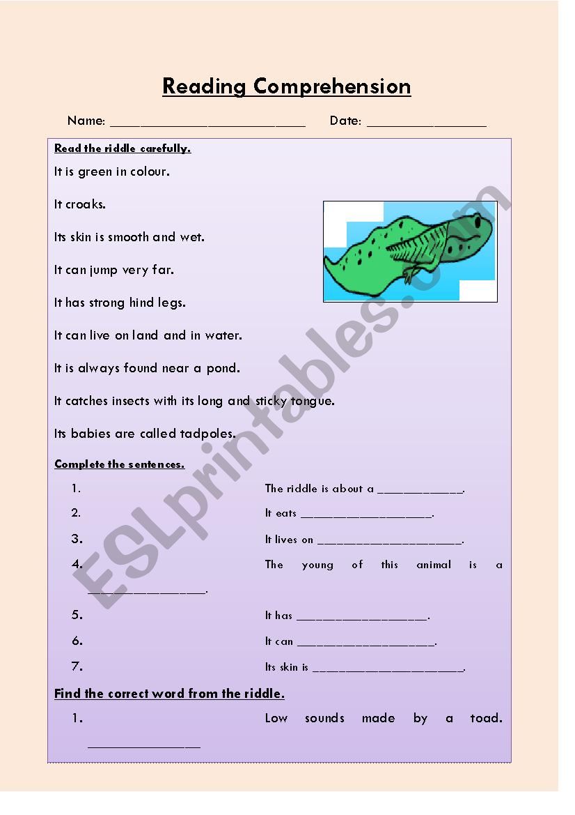 Reading Comprehension worksheet