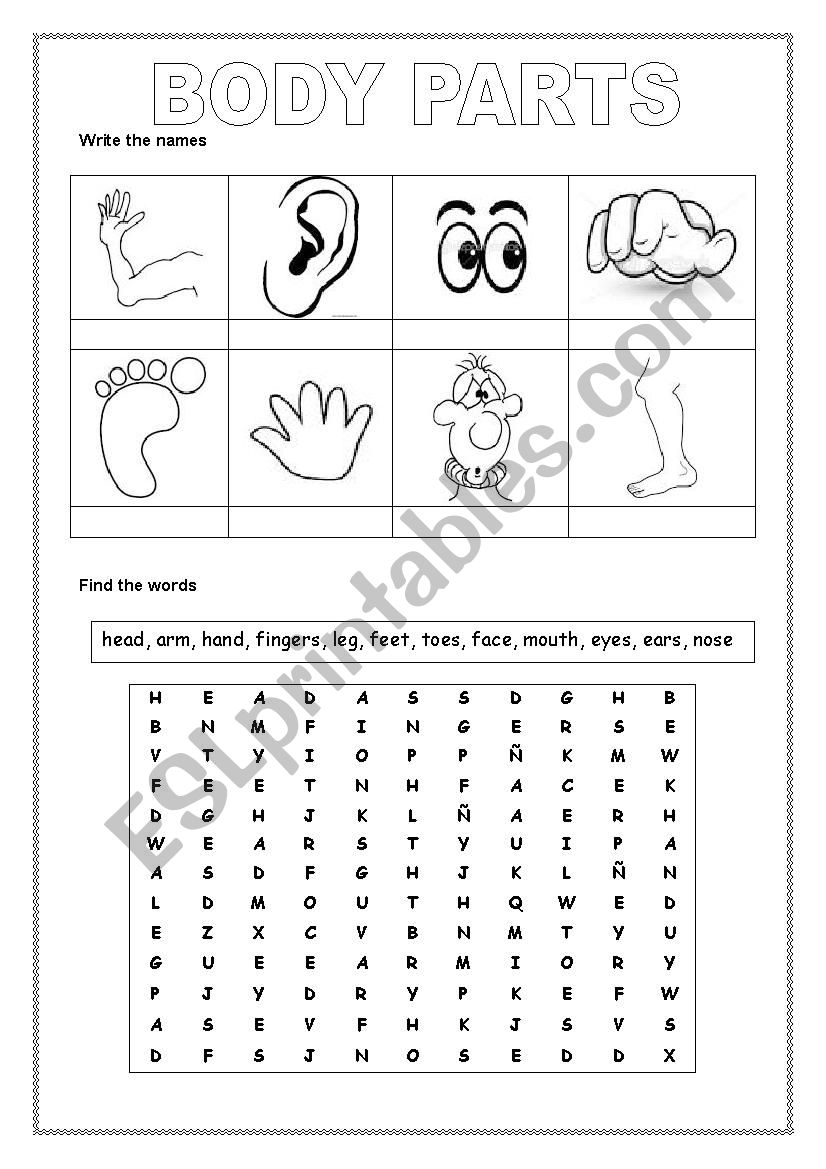 Body Parts worksheet