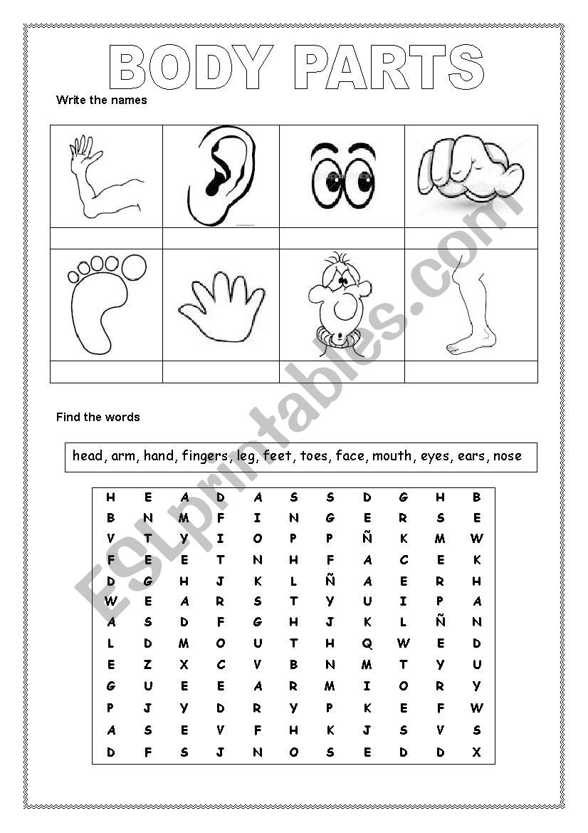 Body Parts worksheet