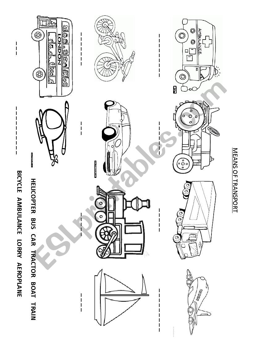 Transport worksheet