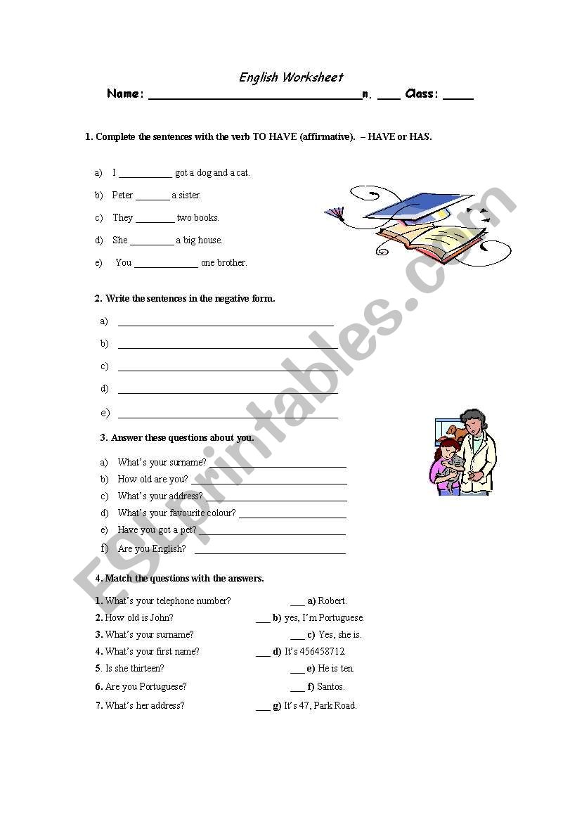 Worksheet verb to have worksheet