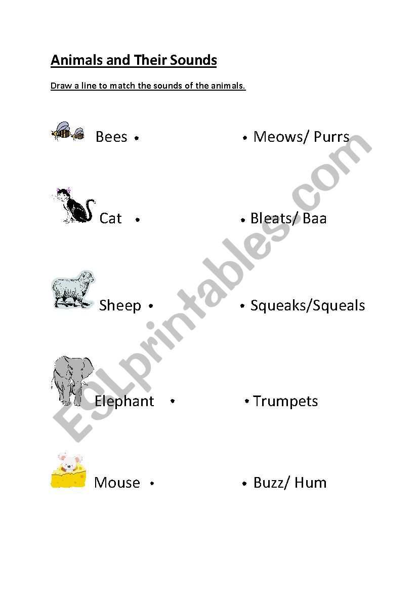 Animals and Their Sounds worksheet