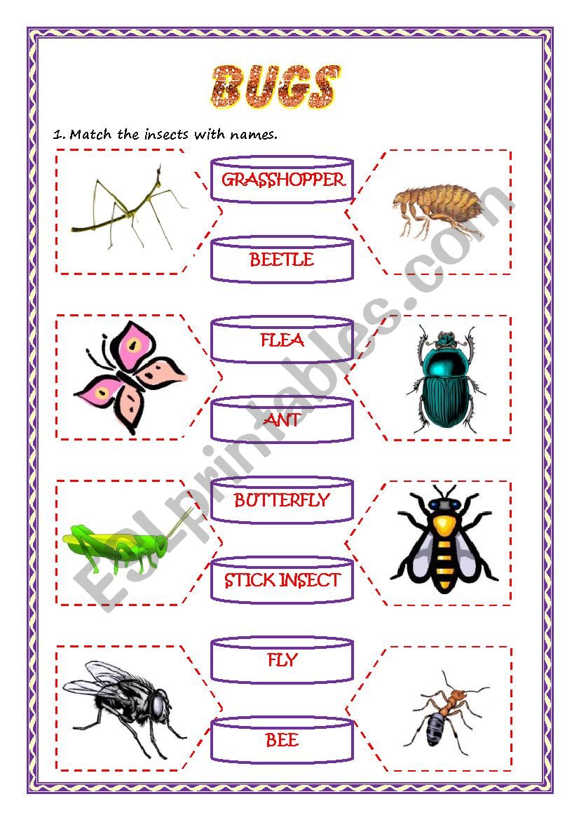 bugs-esl-worksheet-by-the-globe