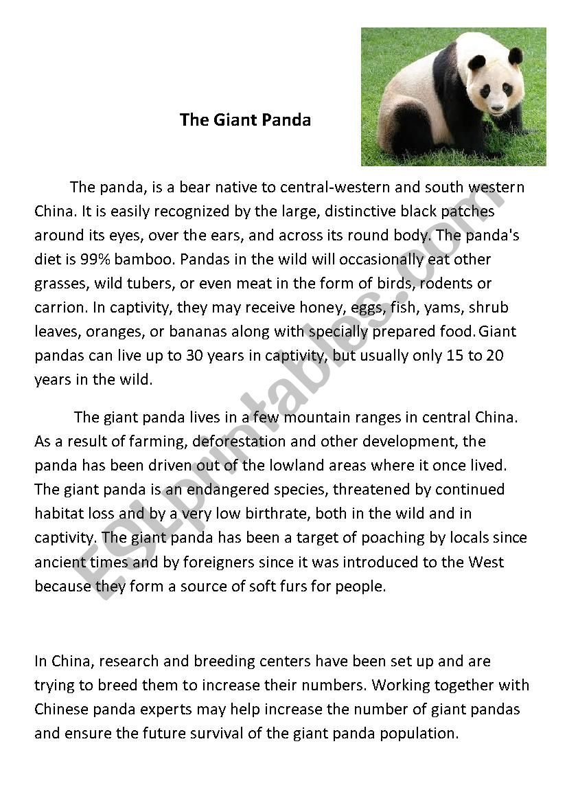 The Giant Panda worksheet