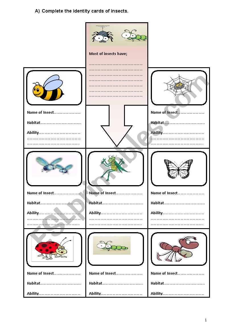 insects 2 worksheet
