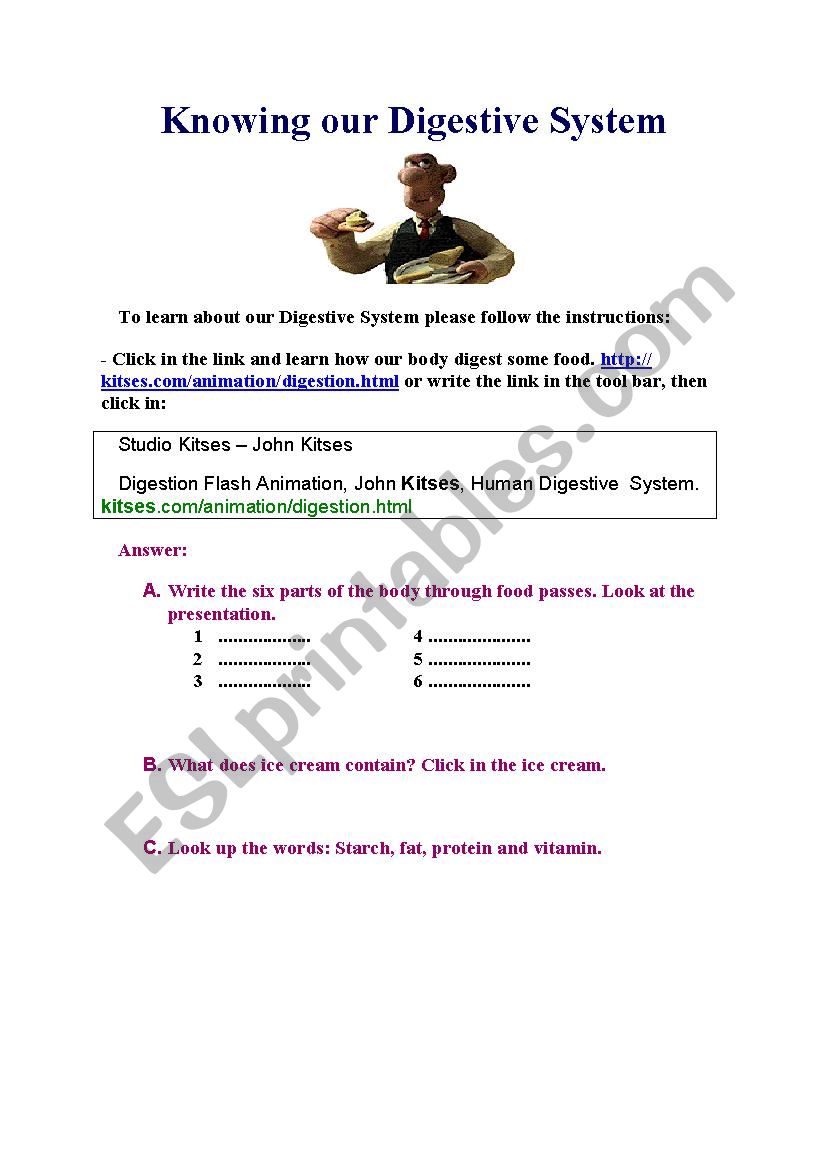 digestive system worksheet