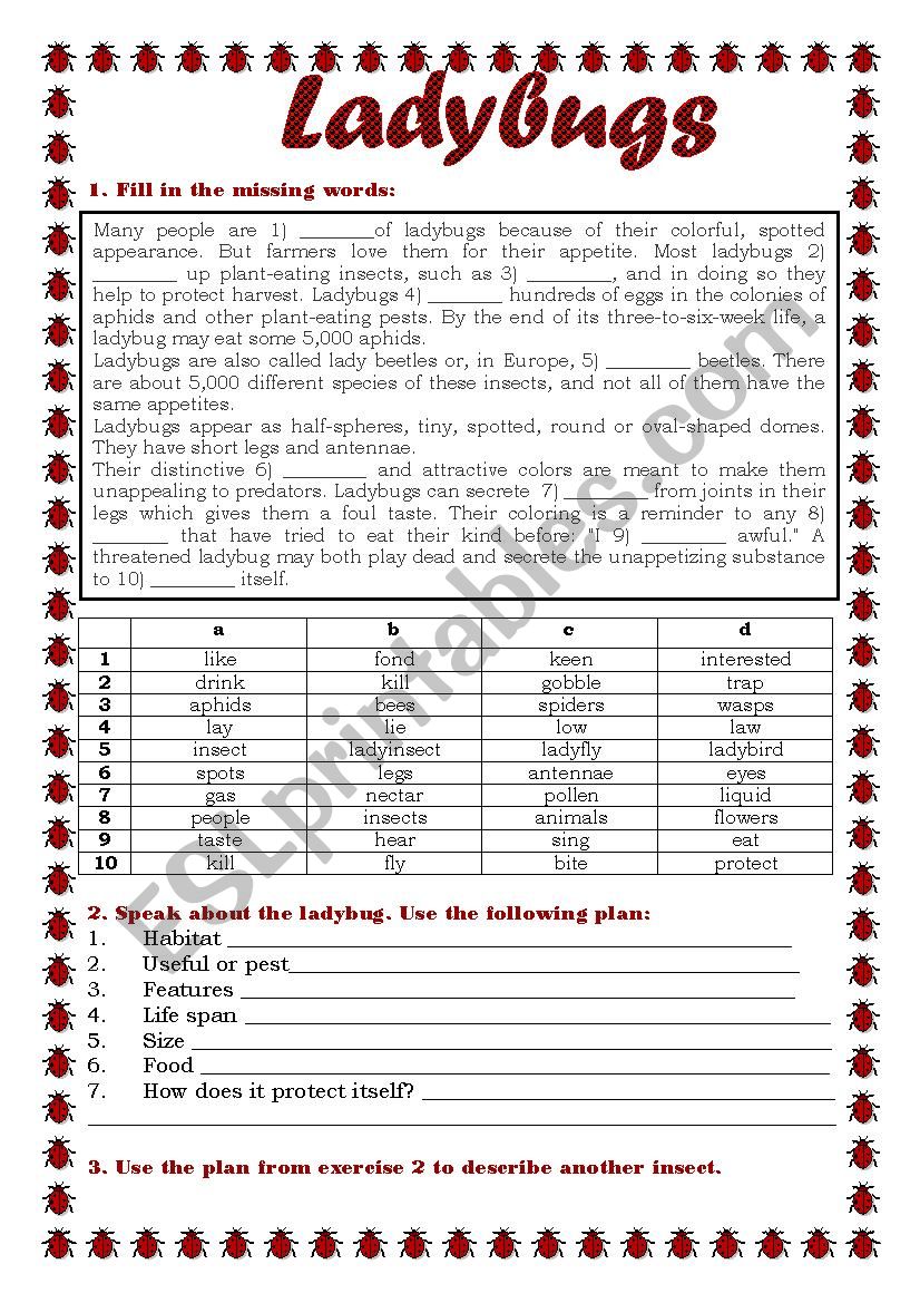 Ladybugs worksheet