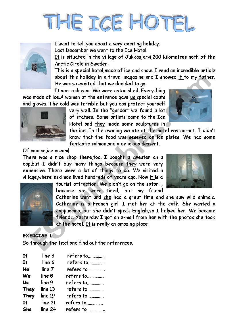 The Ice Hotel worksheet