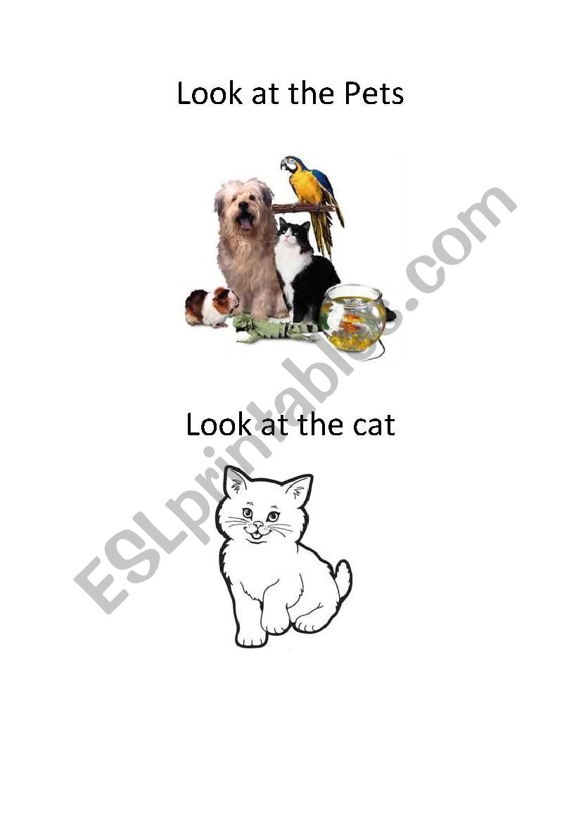 look at the pets worksheet