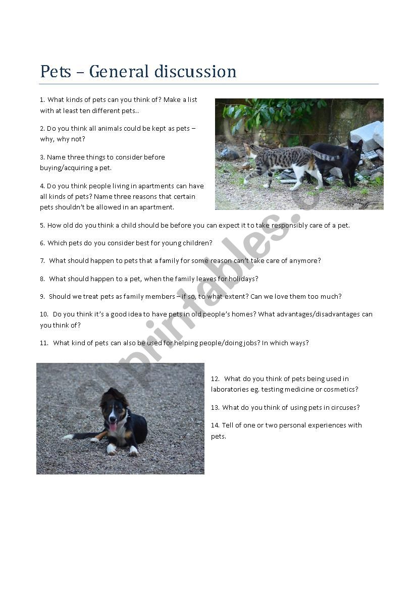 Pets. A general discussion worksheet