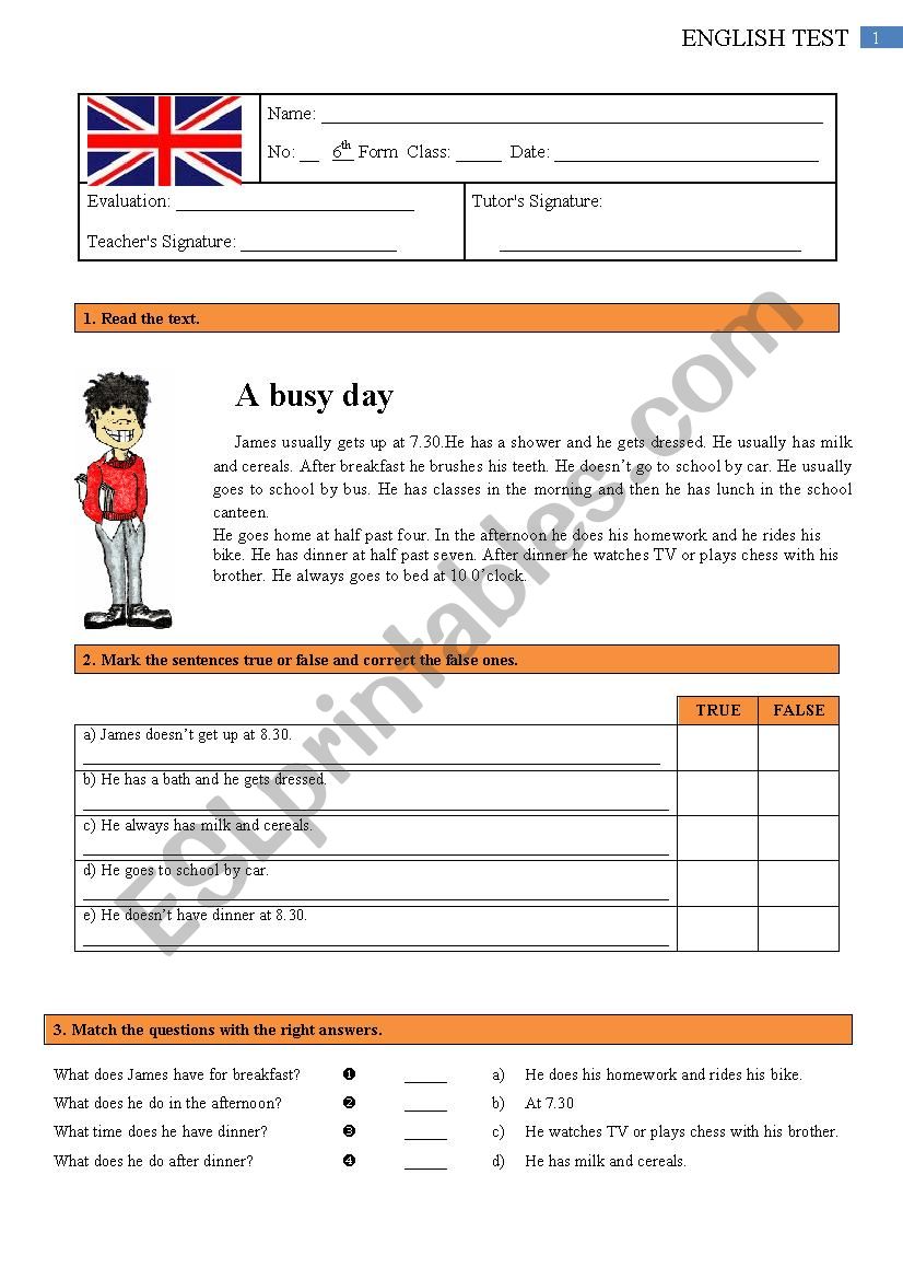 Test - 6th grade 1/2 worksheet