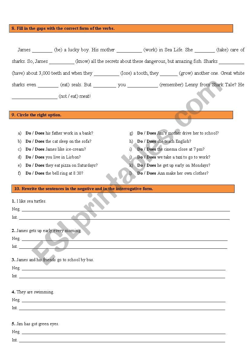 Test - 6th grade 2/2 worksheet