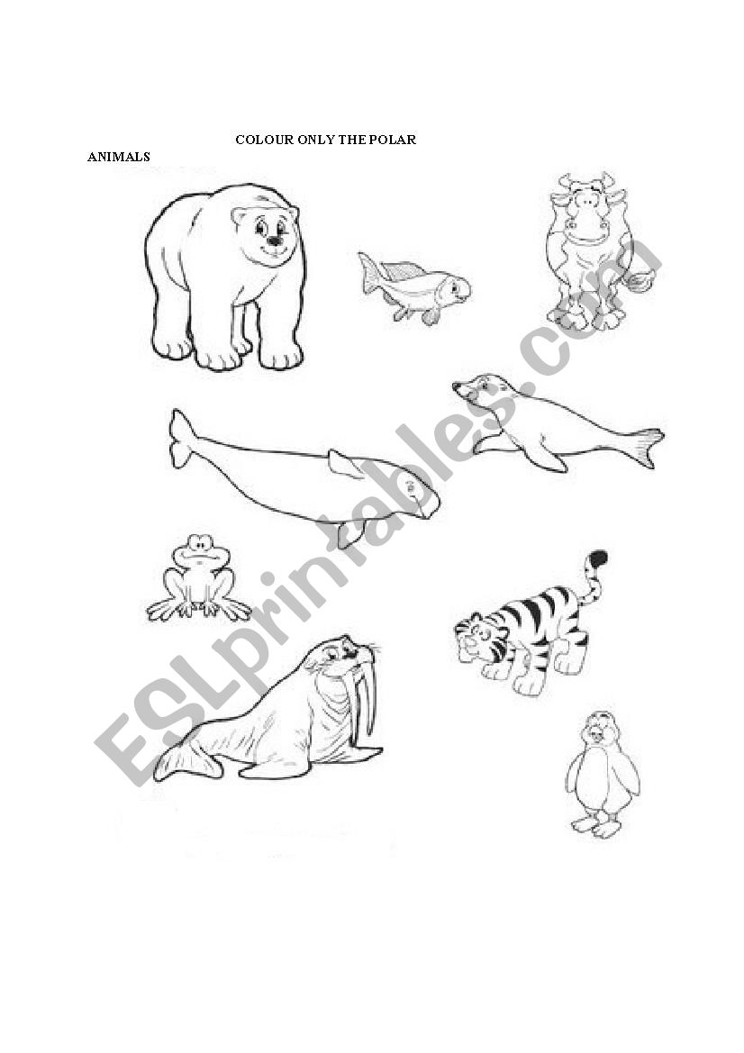 Polar Animals worksheet