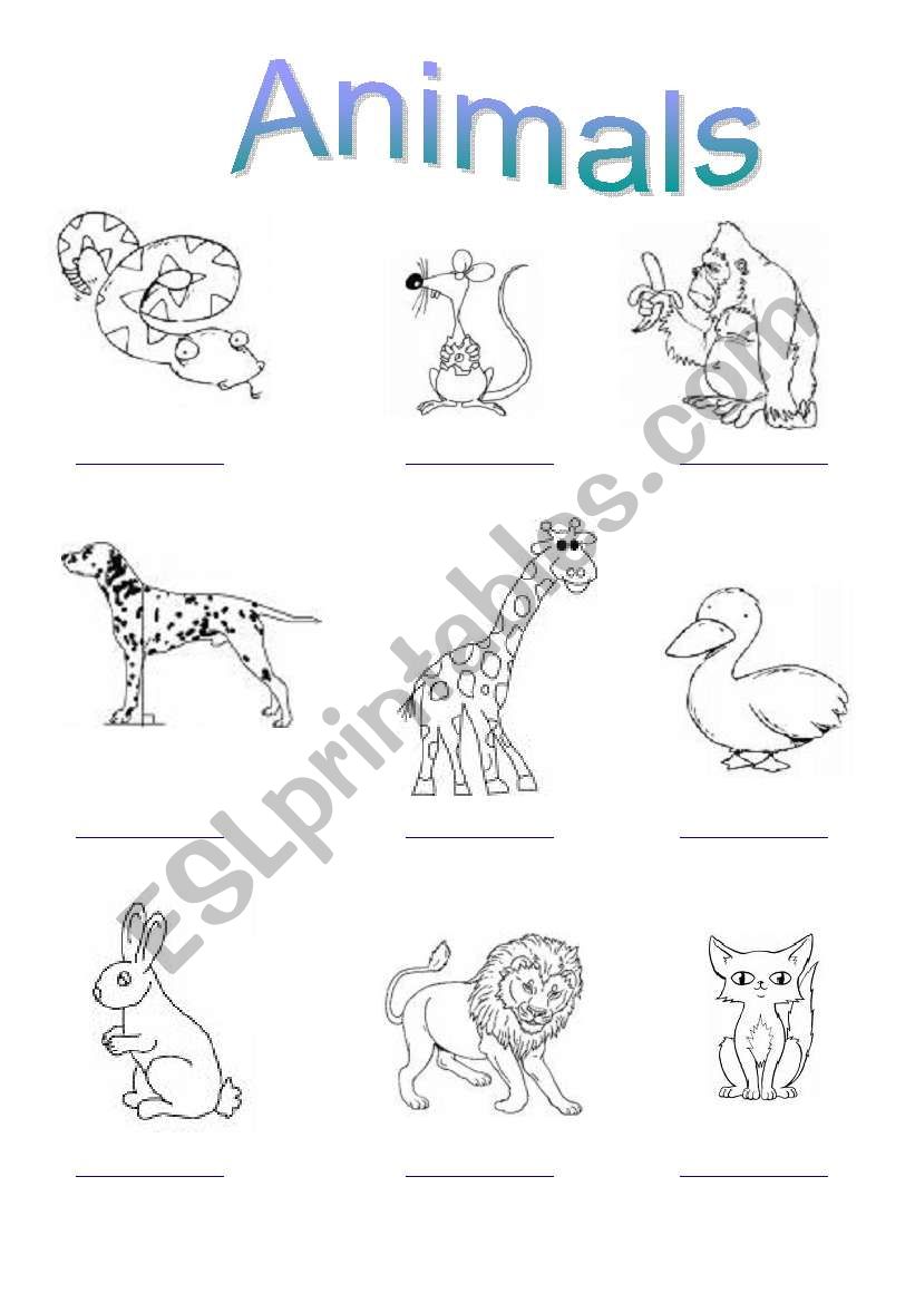 animals worksheet