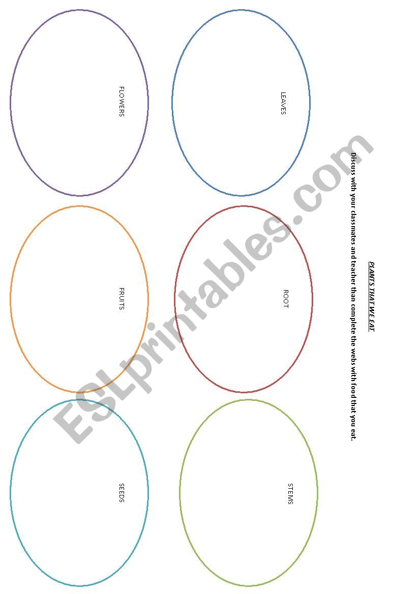 plants that we eat worksheet