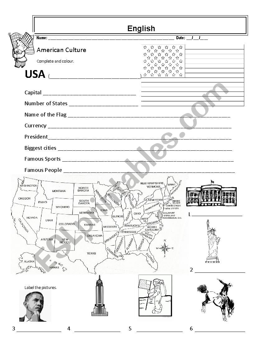 usa quiz worksheet