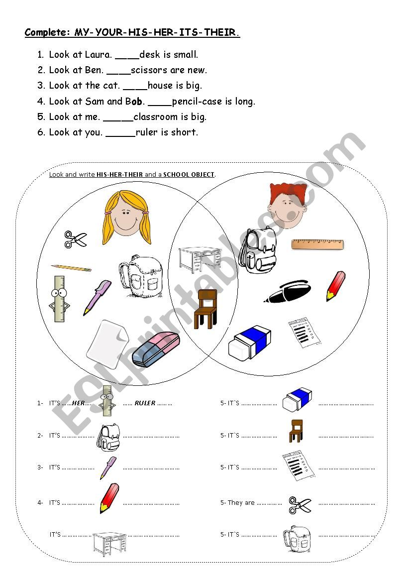 possessive adjectives activity