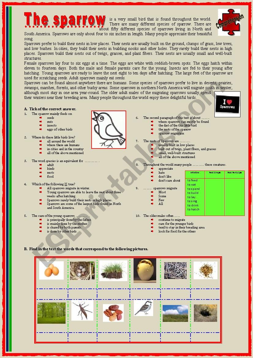 The Sparow (Reading) worksheet