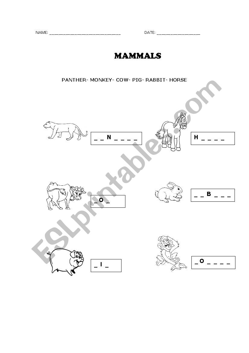 Mammals worksheet