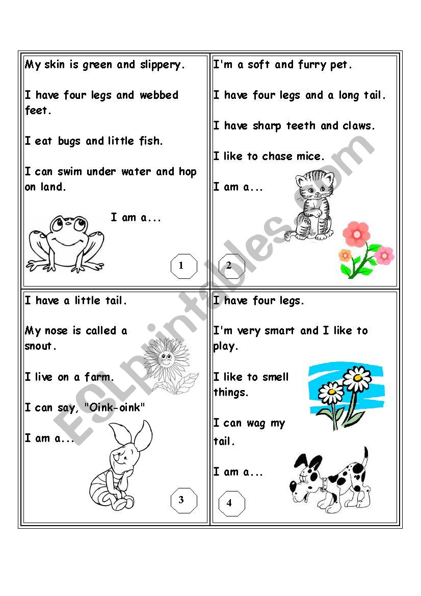 animals riddles part 1 worksheet