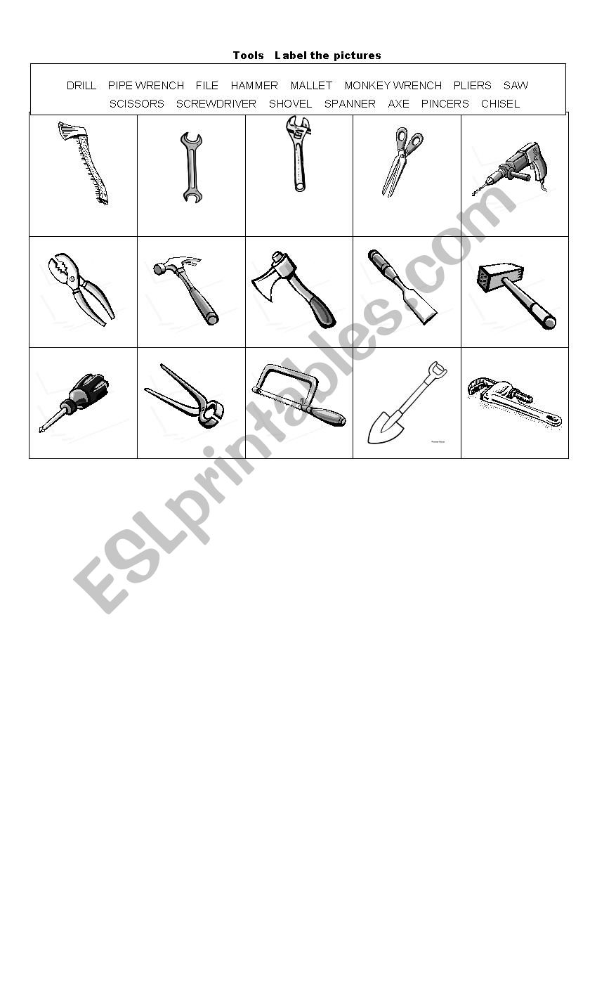 Tools Picture Dictionary worksheet