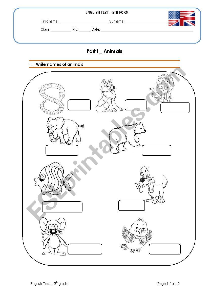 Animals and Clothes worksheet