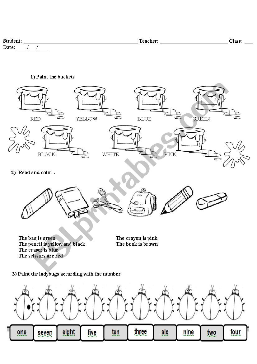 colors and numbers worksheet