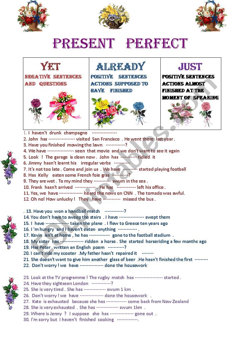 Present perfect  worksheet