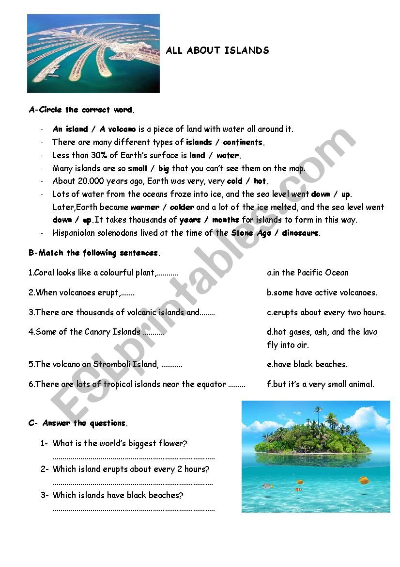 All About Islands worksheet