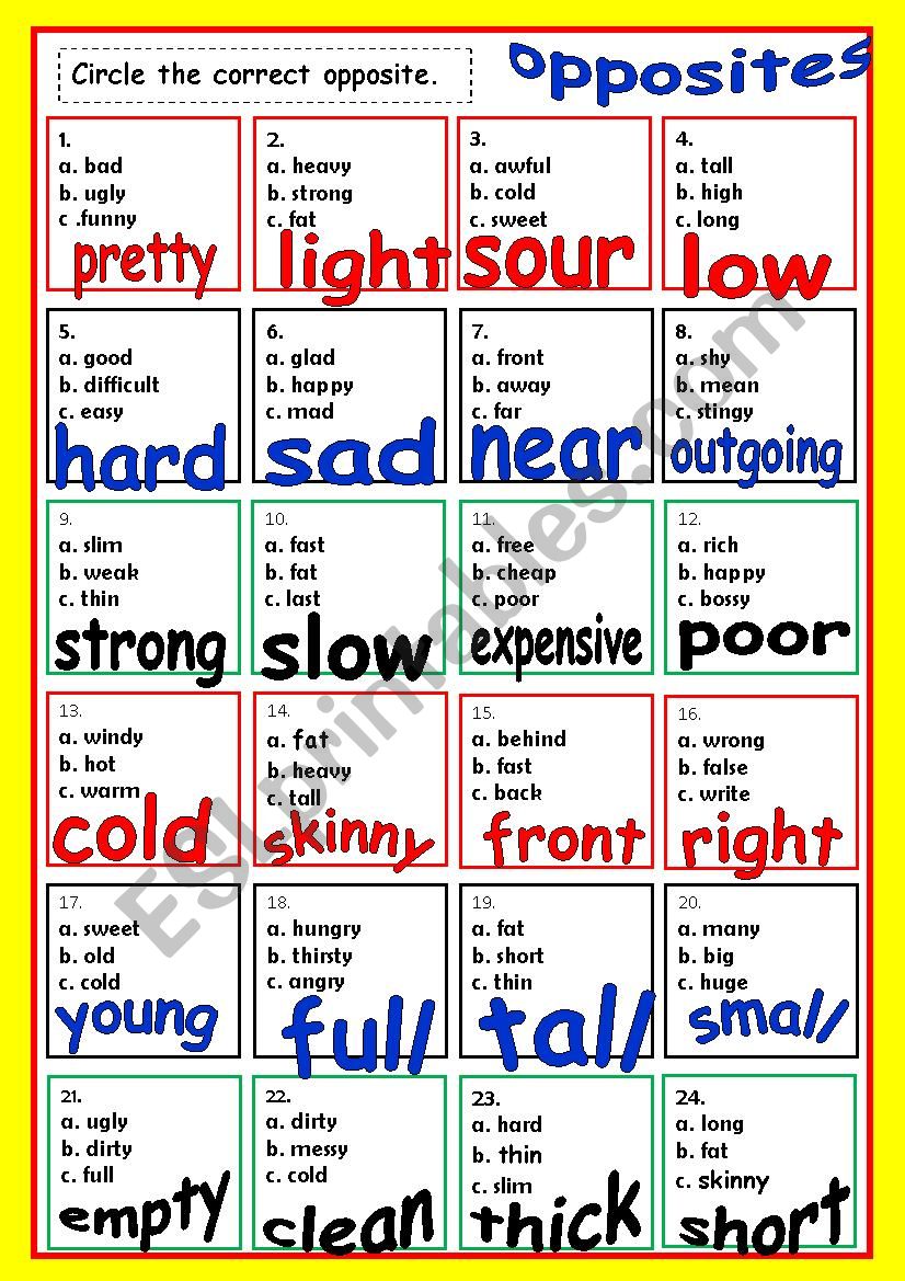 OPPOSITES # 5  (2 PAGES) worksheet