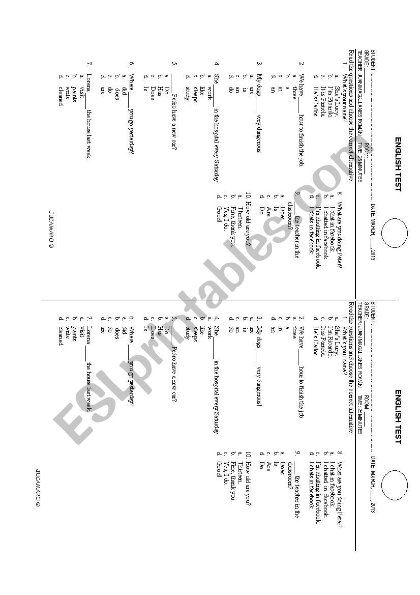 DIAGNOSTIC TEST worksheet