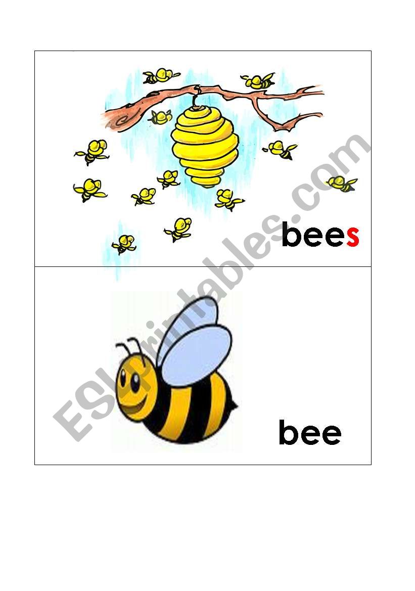 plural flash-cards worksheet