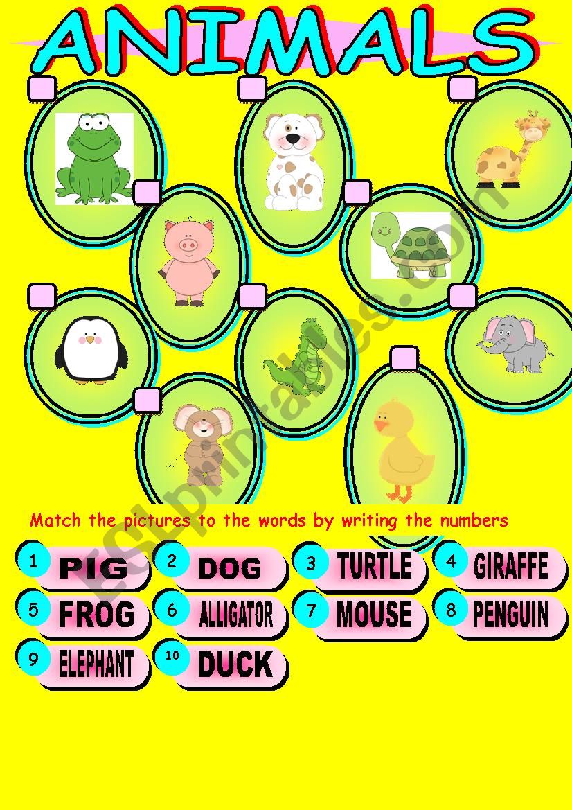 Animal matching worksheet