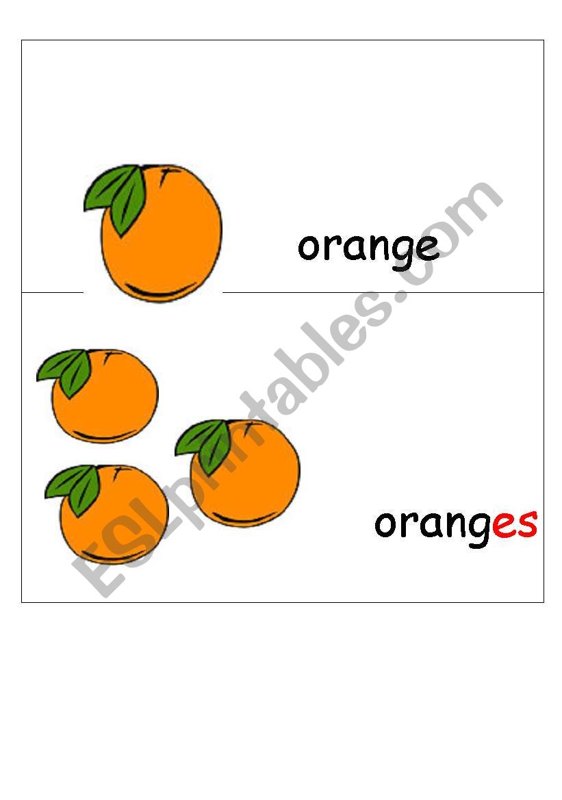 plurals worksheet