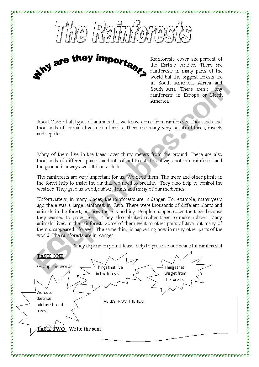 why are rainforests important?