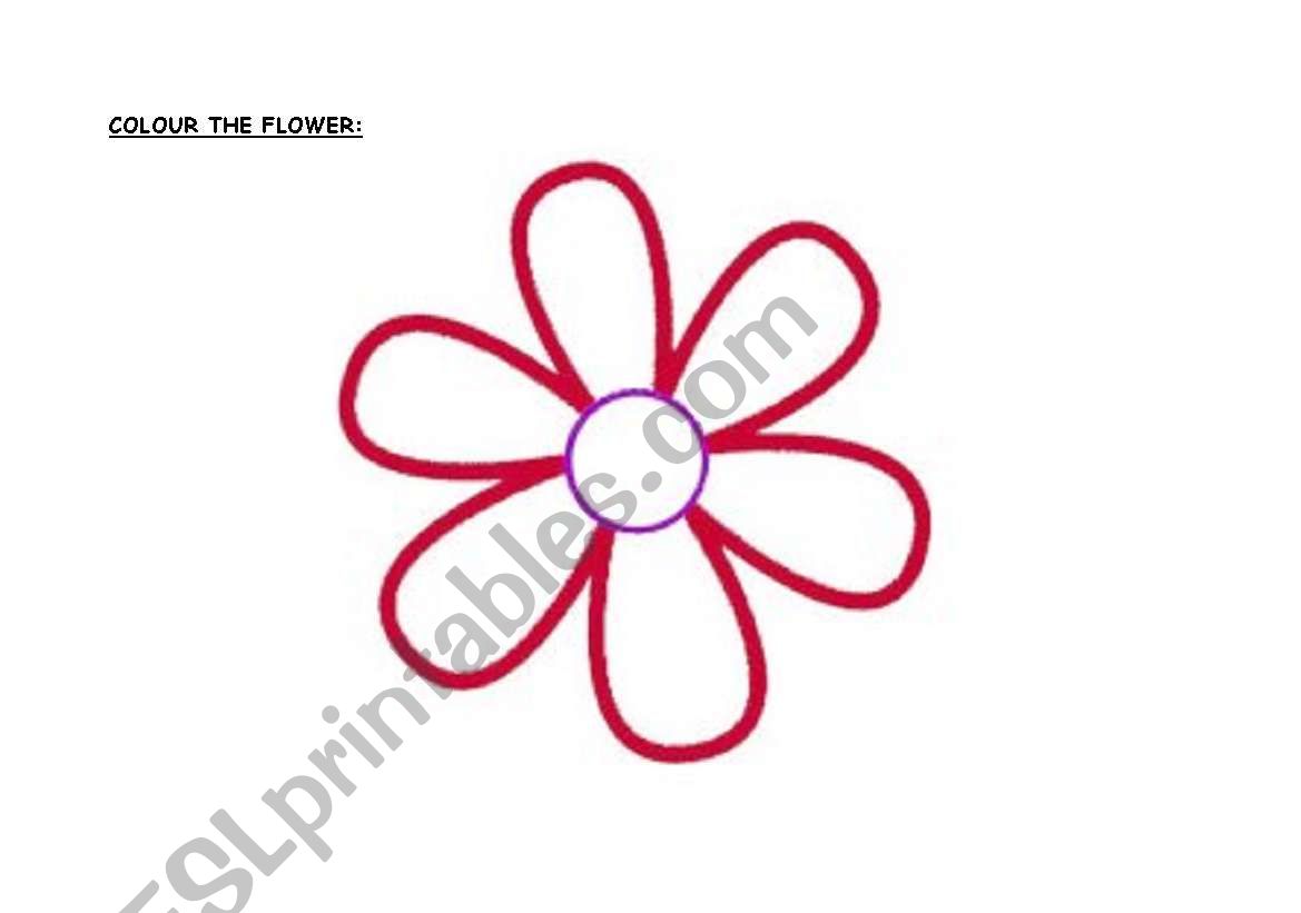 COLOUR worksheet
