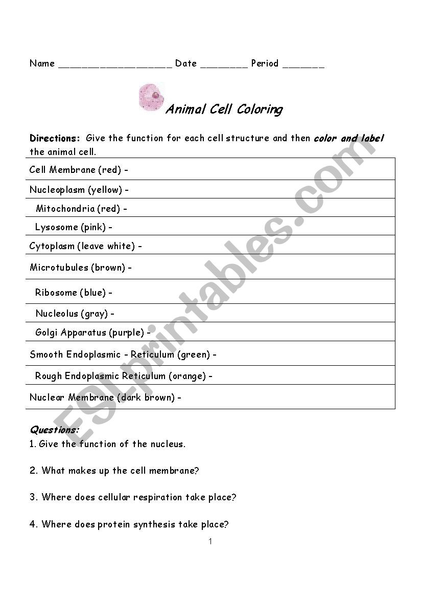 Animal Cell coloring guide - ESL worksheet by themterry
