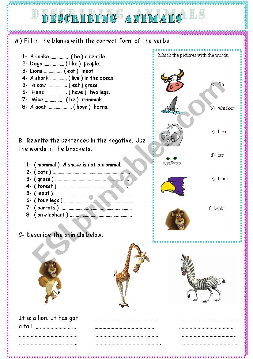 describing animals worksheet