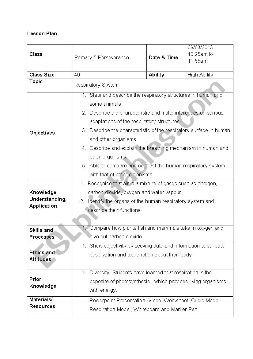asdsasda worksheet