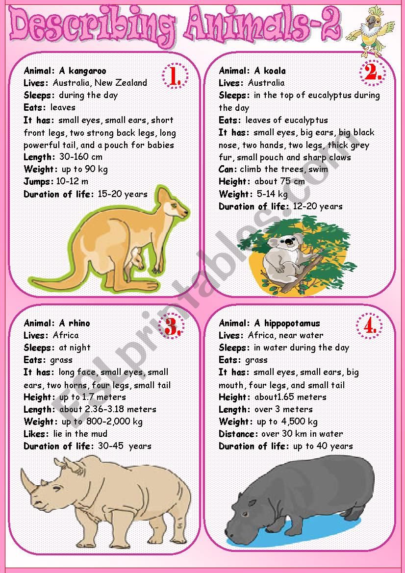 Describing Animals 2 - ESL worksheet by Tmk939