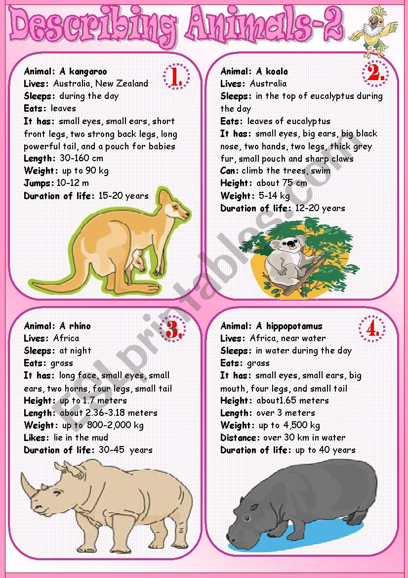 Describing Animals 2 worksheet