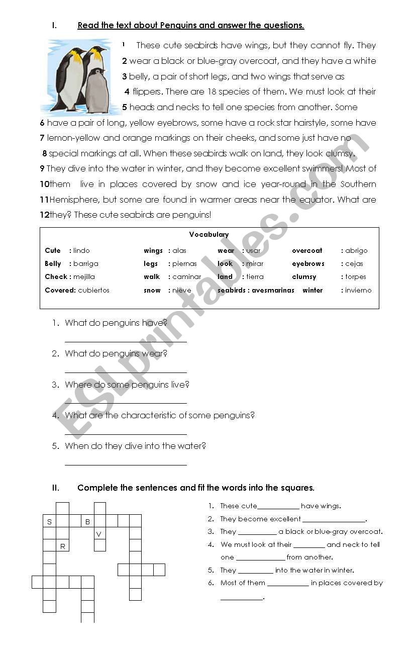 a reading  worksheet