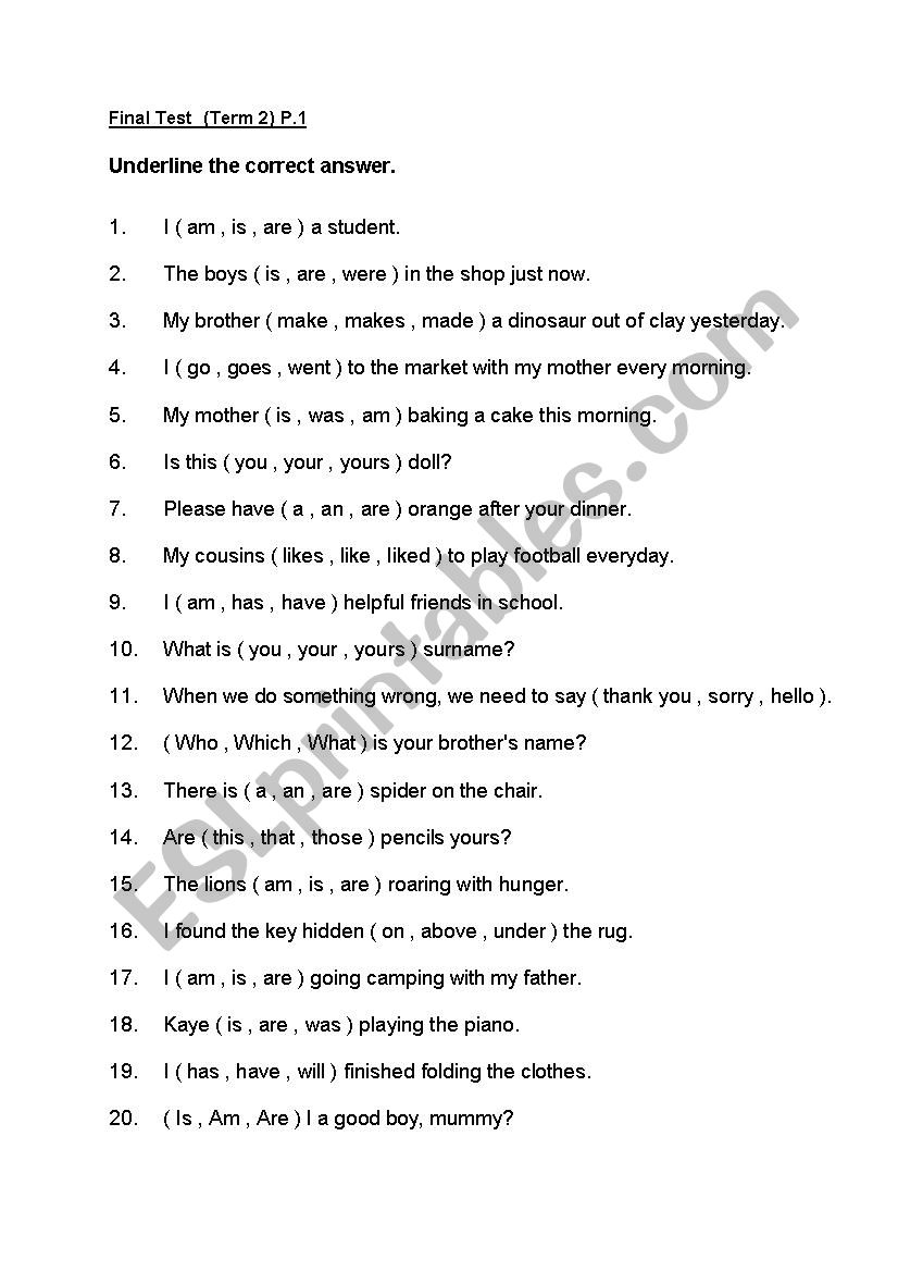 final test level 1 worksheet