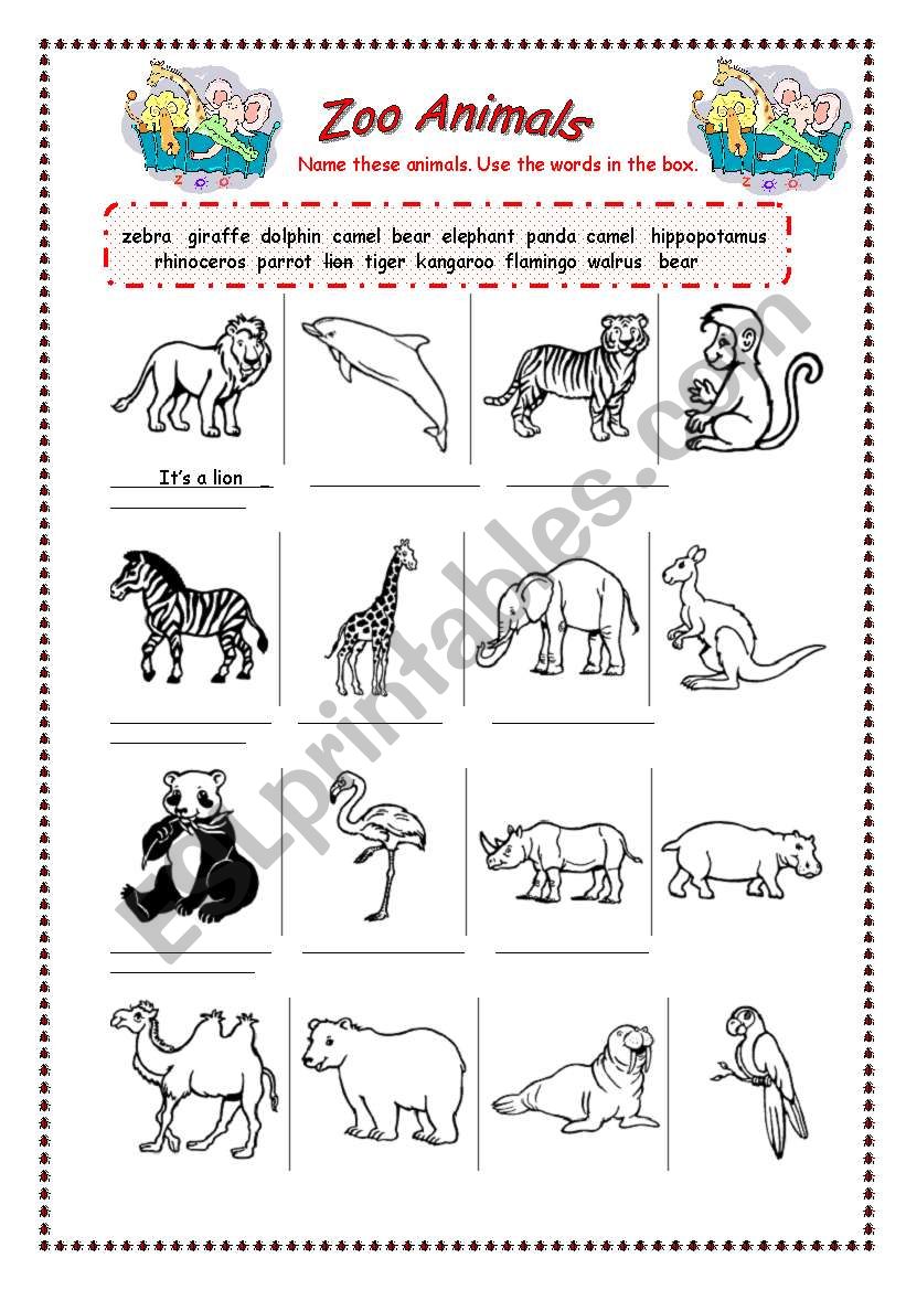 Zoo Animals - ESL worksheet by bamarcia