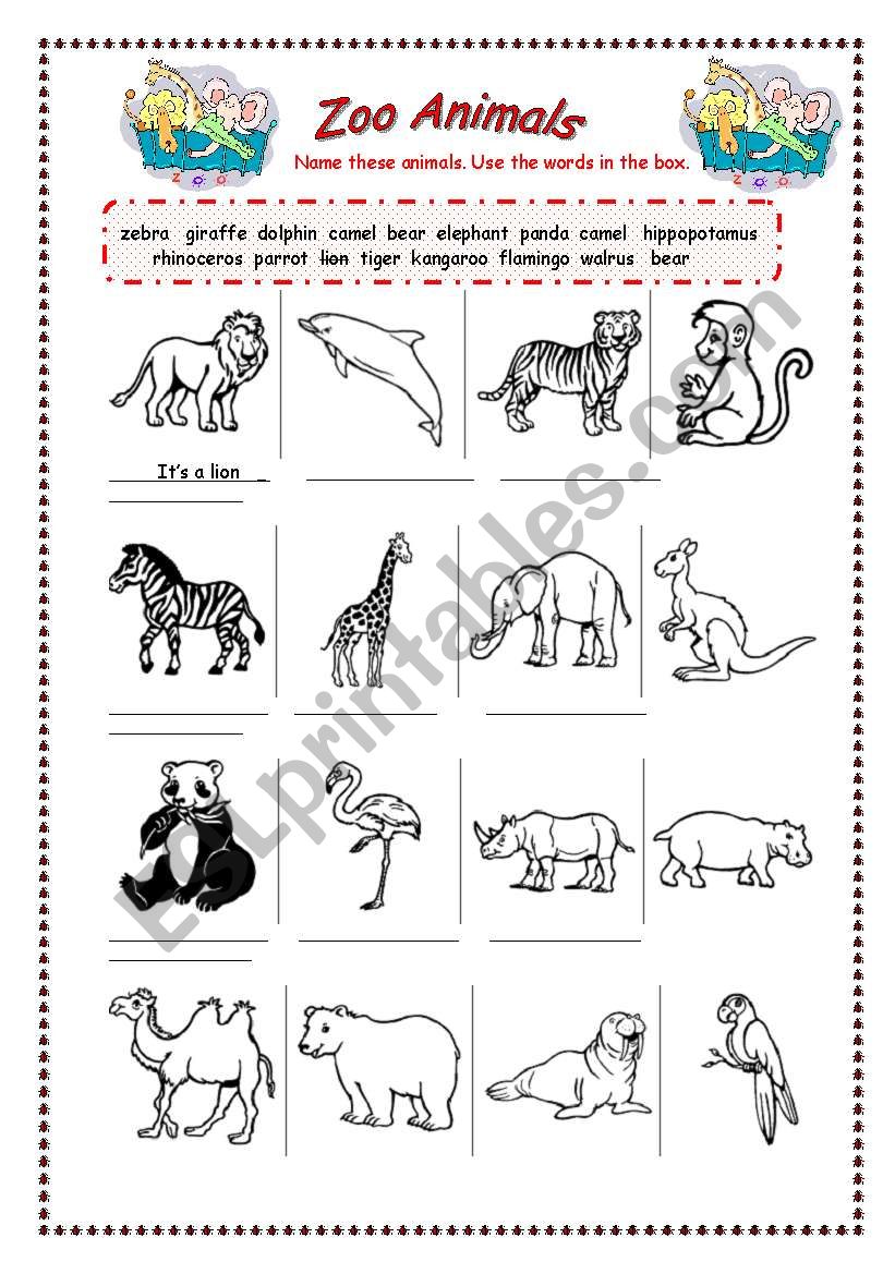 Zoo Animals worksheet