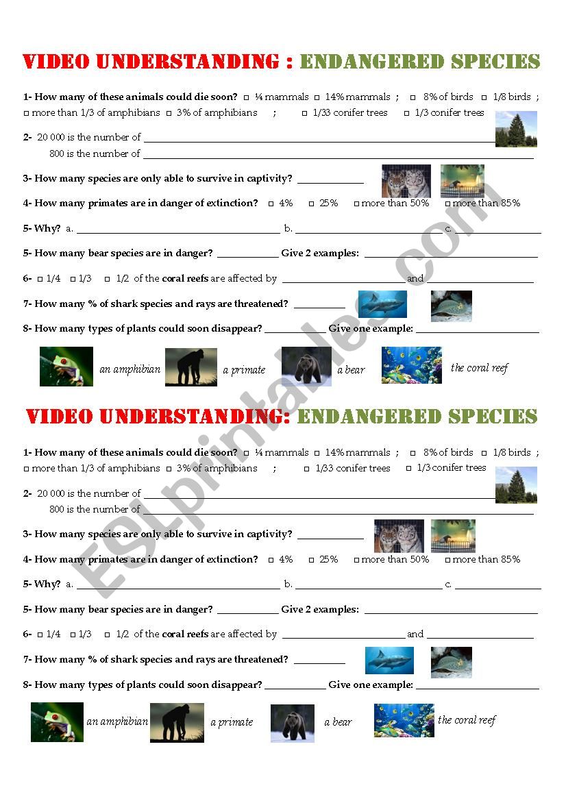 Video/listening Comprehension - Endangered Species (key + link + script) - ESL worksheet by Linou_ Video/listening Comprehension - Endangered Species (key + link + script) - ESL worksheet by Linou_
