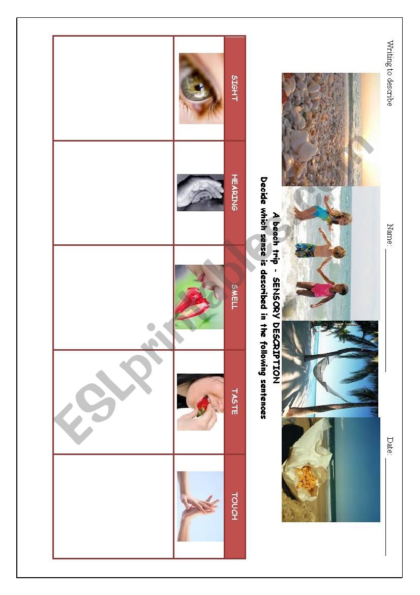 A beach trip. Writing to describe. Sensory description