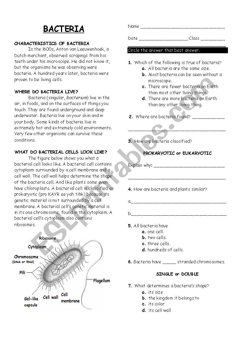 Characterisitics of Bactria worksheet