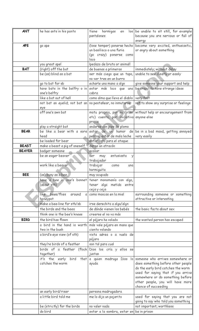 animals  worksheet